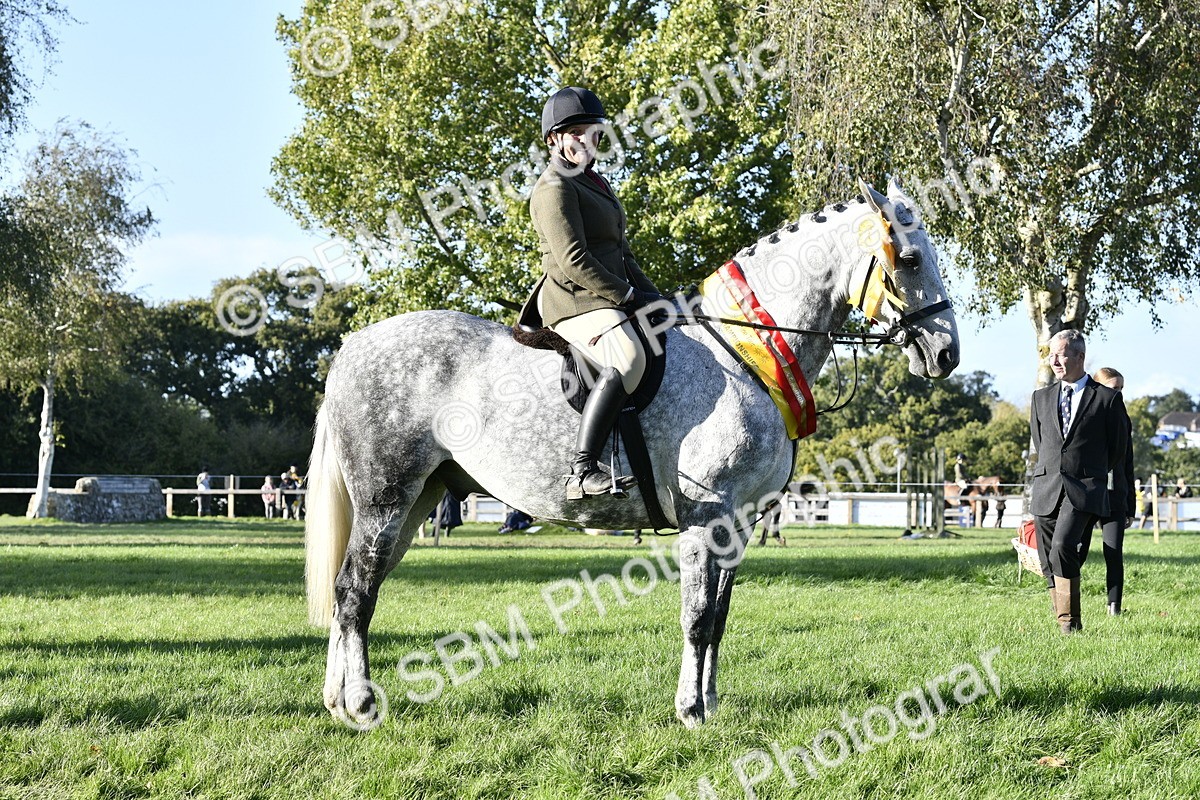 SBM_51735 - Working Hunter Supreme Championship