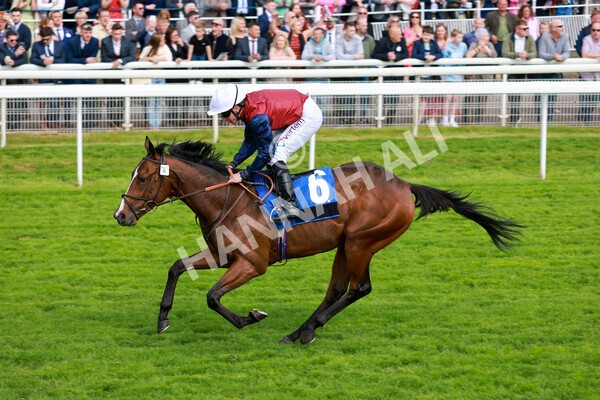 yr21052022r5-27 - Race 5: 4:07pm Phoebe Johnson Celebration EBF Restricted Novice Stakes