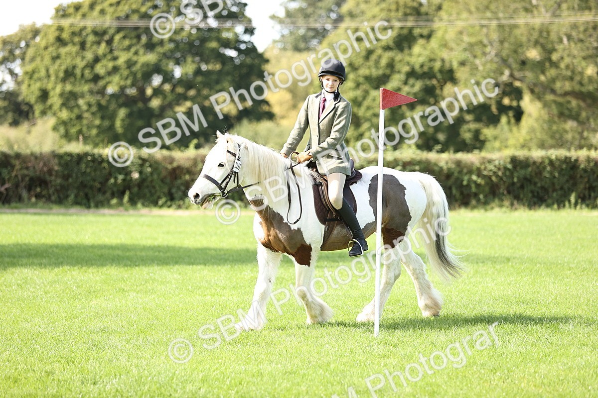 SBM_22982 - S4 - Have a Go at Working Equitation
