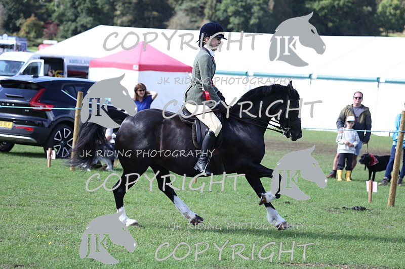 APP_3737 - Class 12 M&M ridden