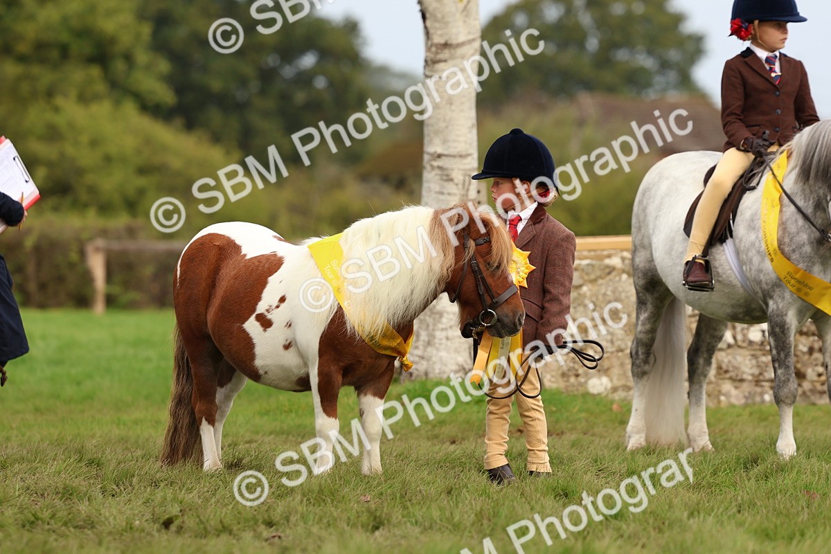SBM_59786 - Start Supreme Championship