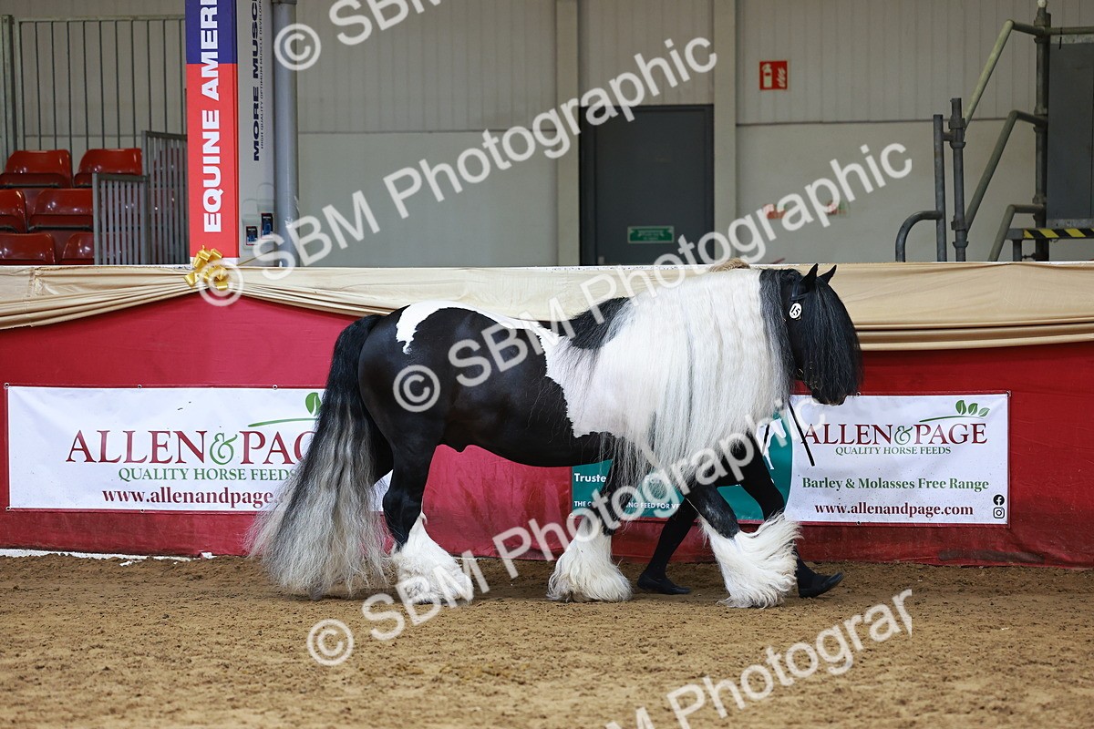 SBM_18414 - Class 903 - Sup Final - IH Pre Vet