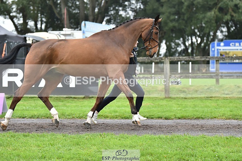 231018-123824-00421 - 050-VENDOME.BIATS-Annabel.Finston-TrotUp