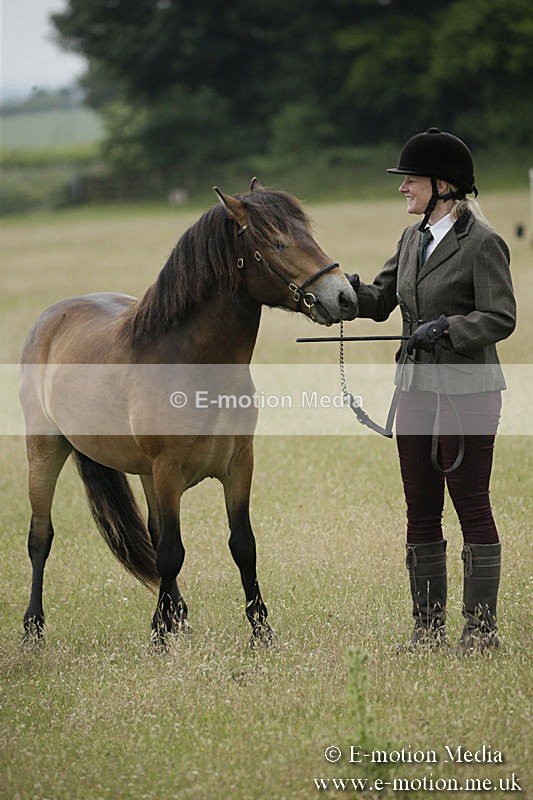 B230619-0002 - Bourne Valley Riding Club Summer Show 23/06/19
