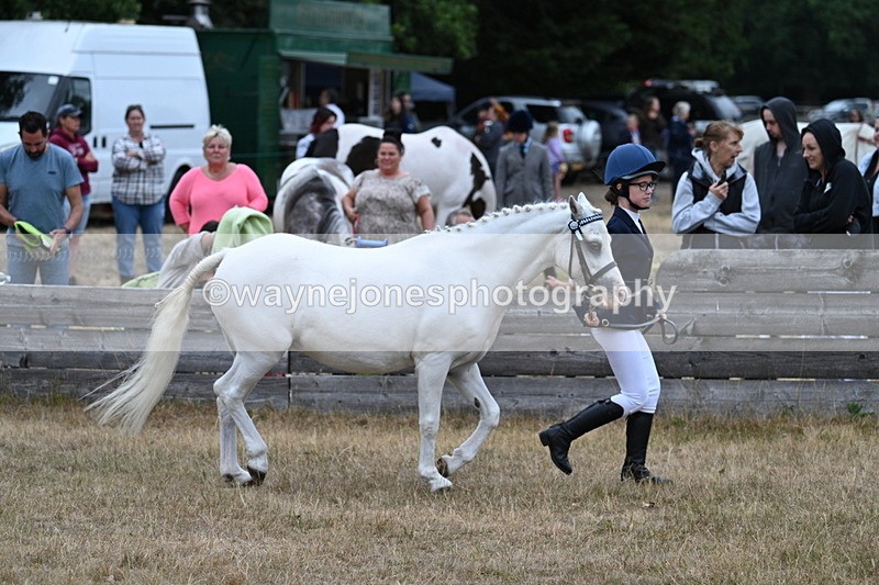 WJ7_8327 - Class 4 Prettiest Mare up to 14.2hh