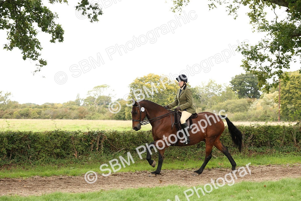 SBM_66326 - S66 - Hunter Ridden