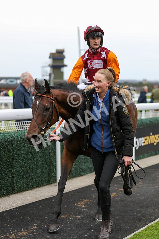 250824-Race 5-Lincoln Rockstar-9459 - Race 5