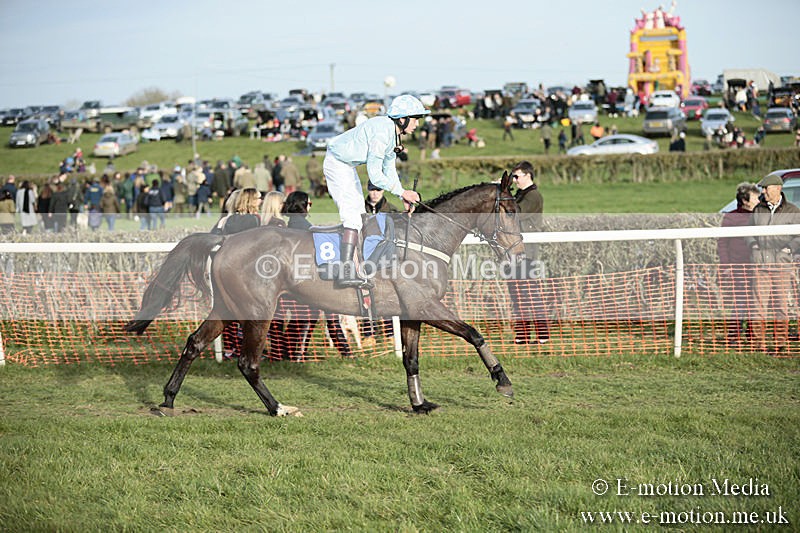 PtP 230319 533 - VWH Hunt Siddington Point-to-Point Racing 23/03/19