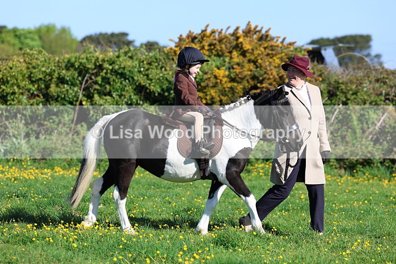 3E7A8484 - Class 2: Lead rein