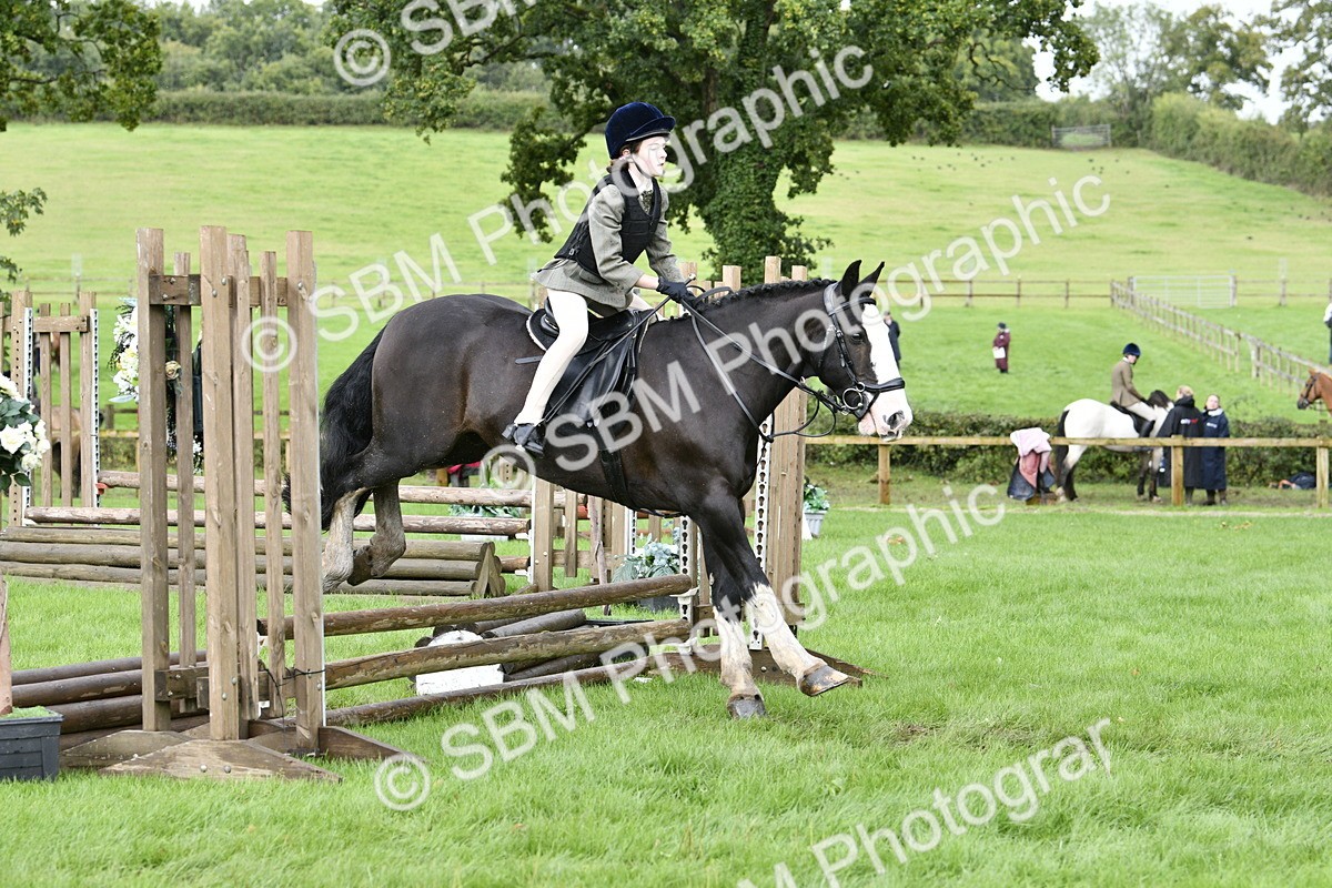 SBM_41499 - S32 - Mountain & Moorland Working Hunter Pony