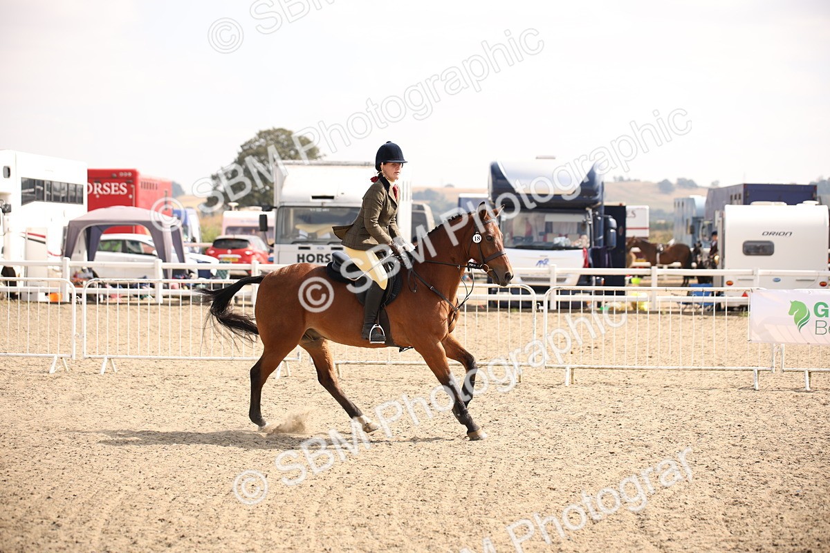 SBM_14141 - Class 407a - Working Veteran 60cm (15-19