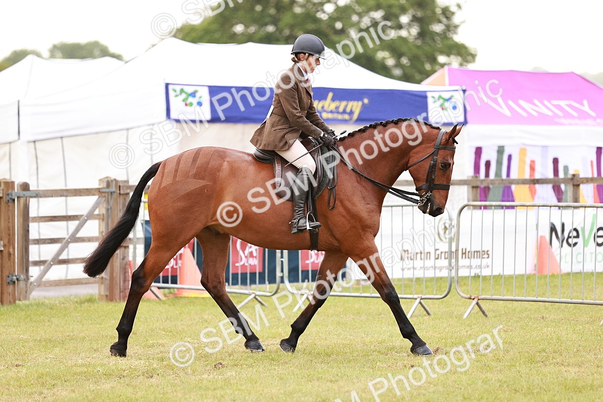 SBM_10741 - Class 81-84 - RIHS Ridden hunters Inc Ladies Hunter