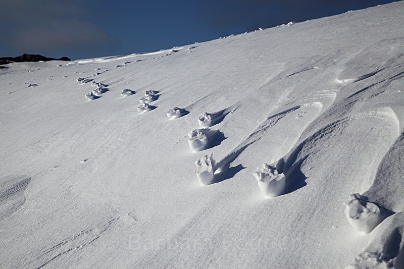 Winter 9 - Latest Photos