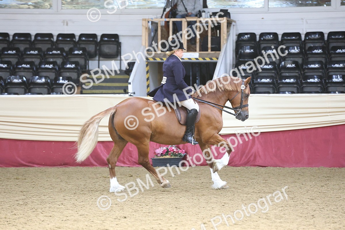 SBM_23819 - class 906 - Supreme Final - Ridden Pre Vet