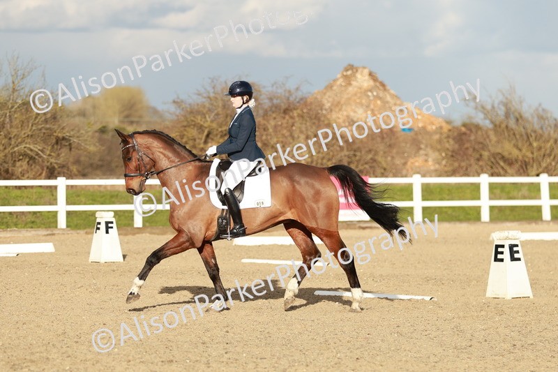 20260314-6293 - CT7 - Elementary 2