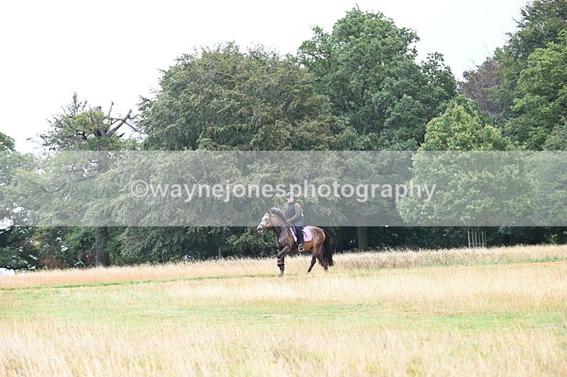 DSC_1880 - Time at Statue 12:13 to 12:32