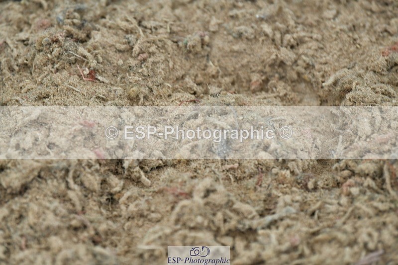 230721A-132256-06506 - Cls 14, 1 Star Bronze 1.10m