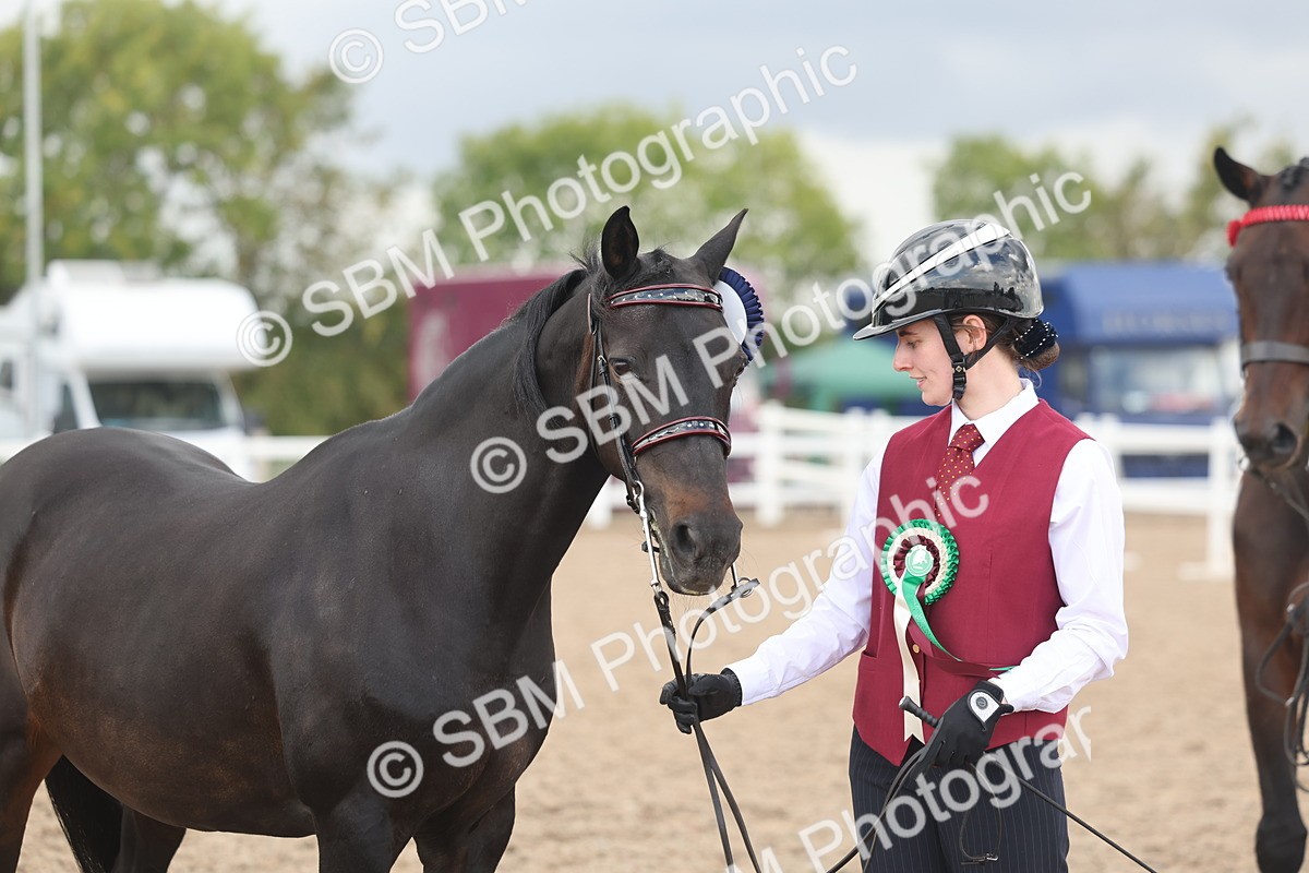 SBM_06921 - Class 25 - IH Foreign Breeds - Purebred