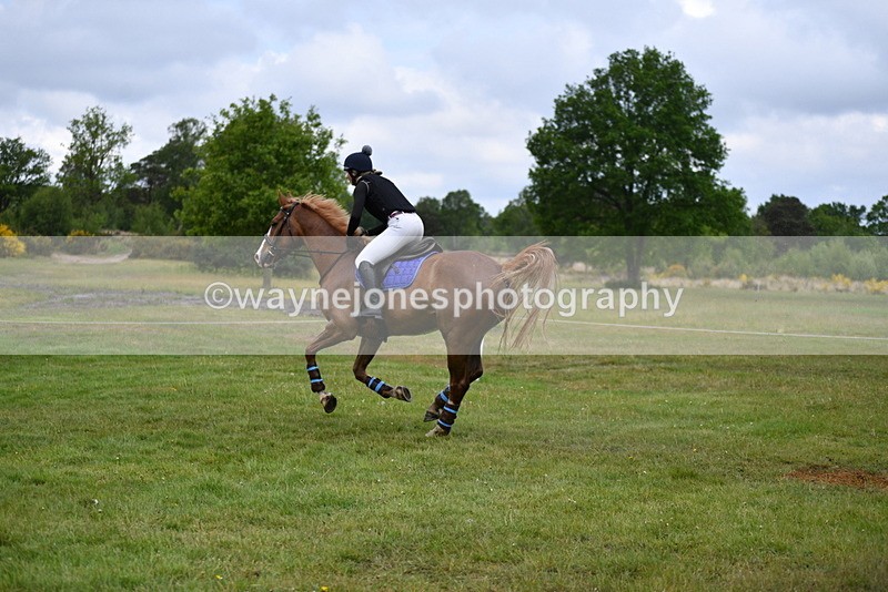 WJ5_4611 - Time 10:09 to 10:37