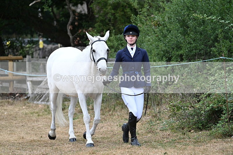 WJ7_8672 - Class 4a Prettiest Mare 14.2hh and over
