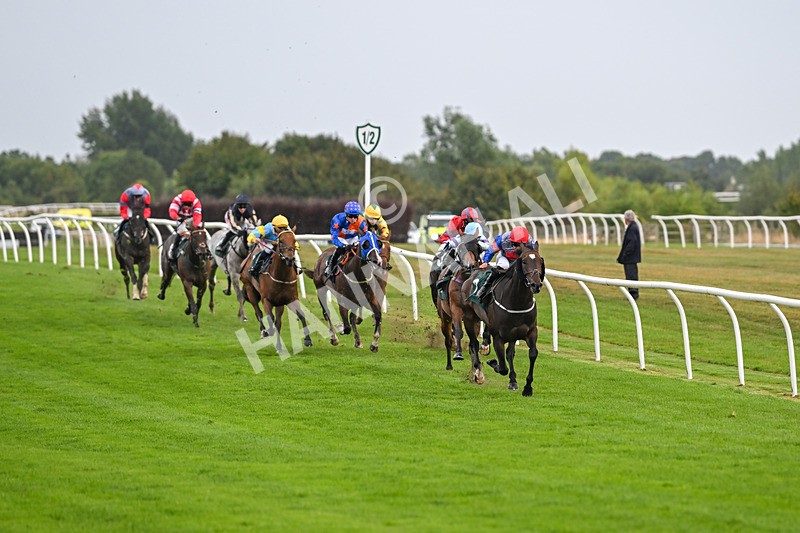 270825-Race 3-Quercus-4997 - Race 3