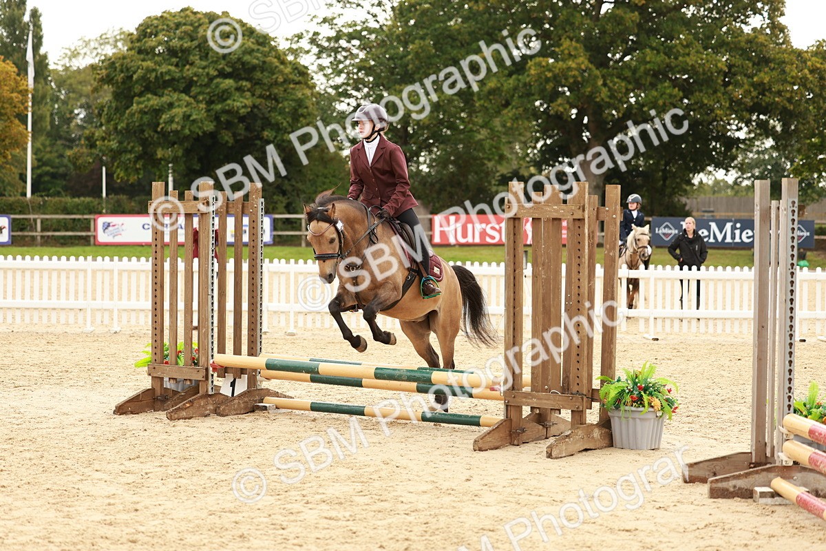 SBM_57838 - J11 - Junior Pony 50cm Championship