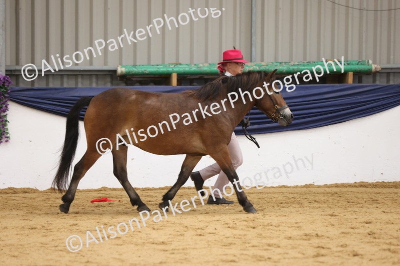 20260913-1313 - Youngstock Championship