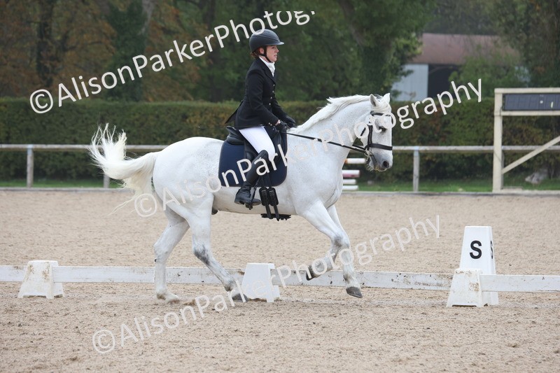 20251012-0405 - Class 3 - Novice 5