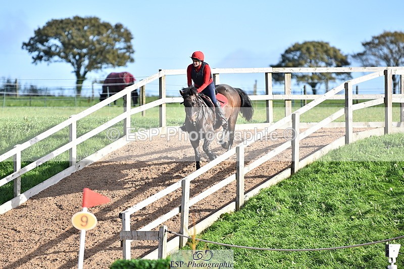 231105A-111722-00481 - 80cm