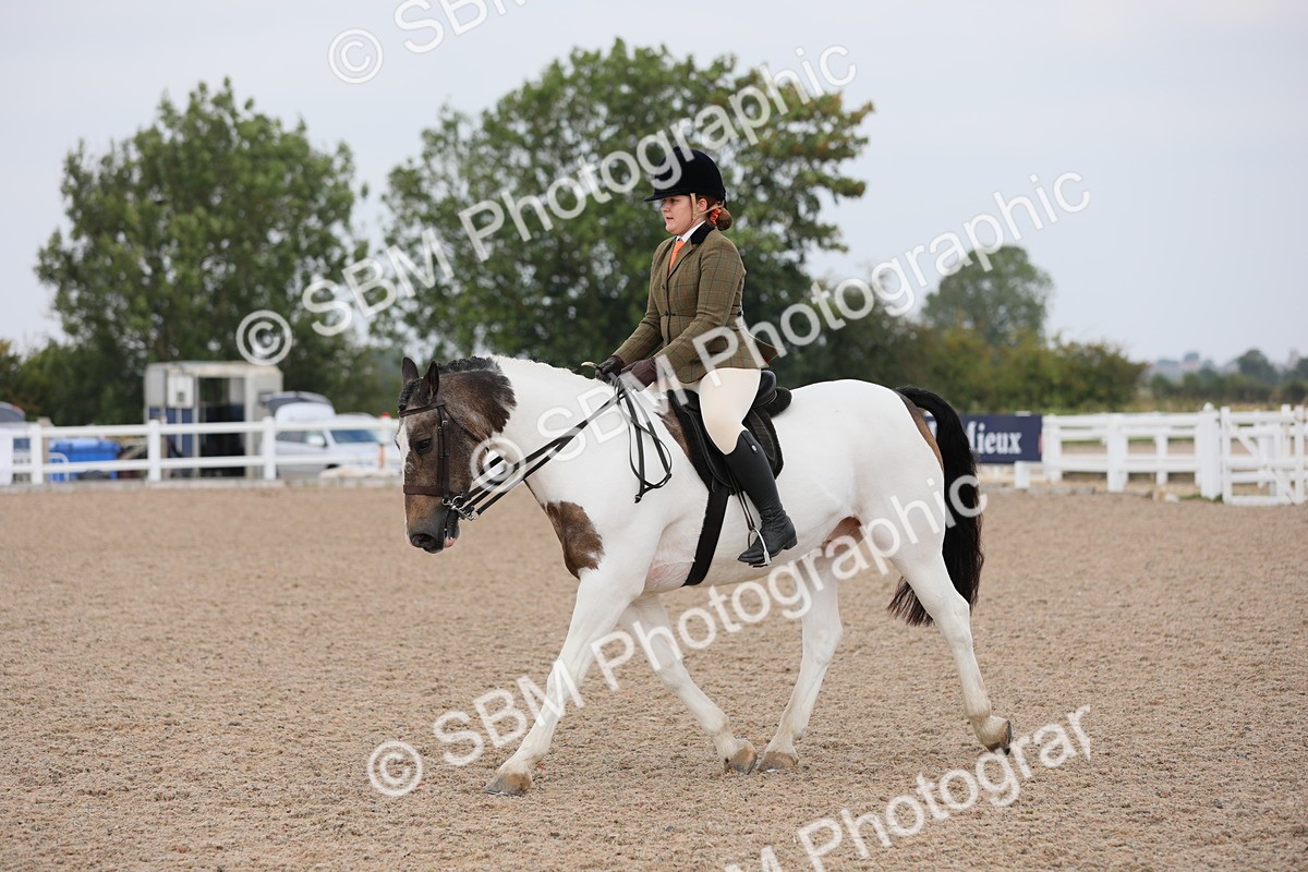 SBM_12723 - Class 307 Ridden Coloured Pony