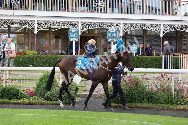 yr22072022r2-4 - Race 2 5.50pm eventmasters.co.uk Stakes