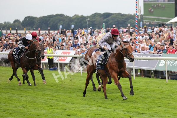 yr20082021r3-15 - Race 3 3.00pm Al Basti Equiworld Dubai Gimcrack Stakes
