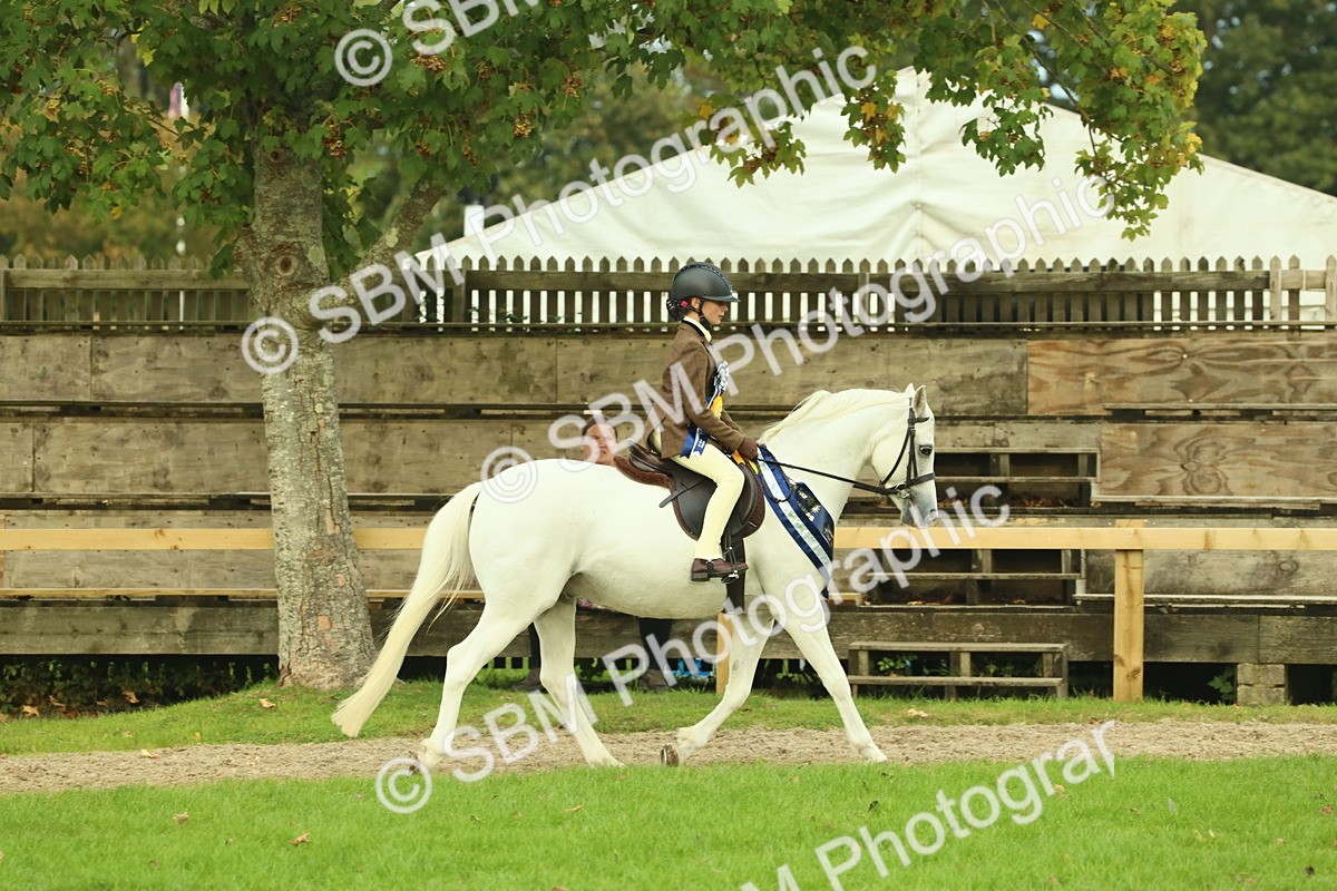 SBM_75246 - Super Supreme Championship