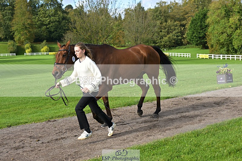 241023-131838-00201 - 011-Carla.Williamson-GOLDMAN