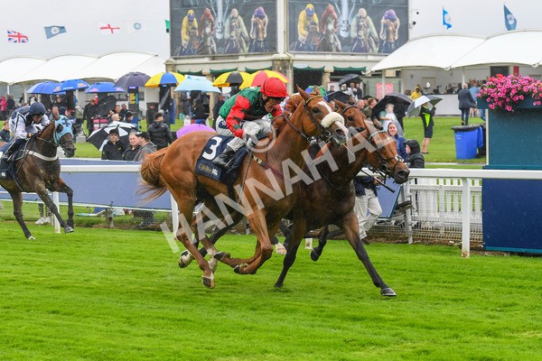 140723-Race 1-Northern Express-0051 - Race 1 2.05pm William Hill Epic Value Handicap