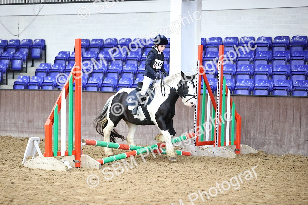 SBM_000248 - Class 2 - The Rug Lady 40cm Area 12 Championship Qualifier