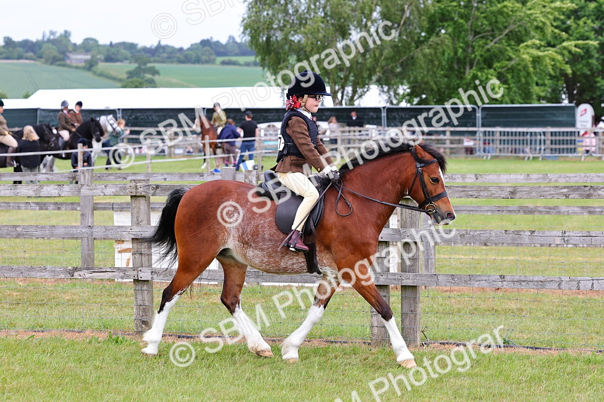 SBM_08545 - Class 42-43 - LIHS BSPS Heritage Working Sports Pony