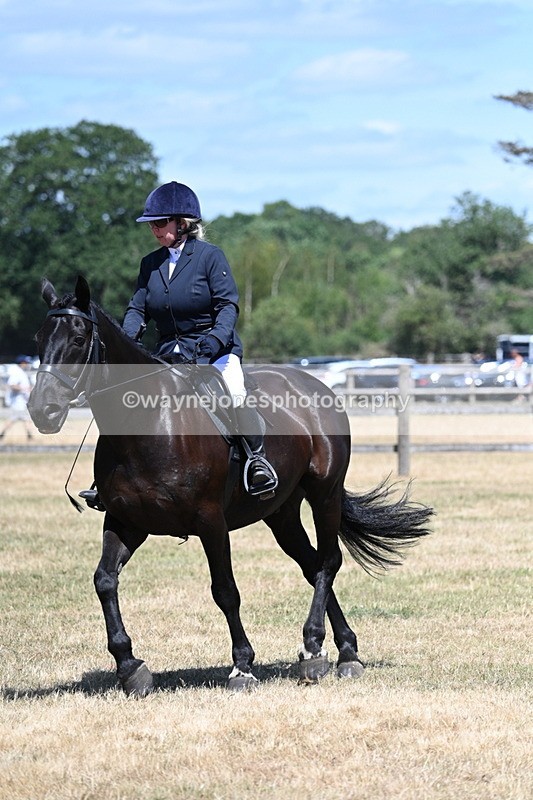 WJ7_2958 - Class 7 Riding Club Show Horse