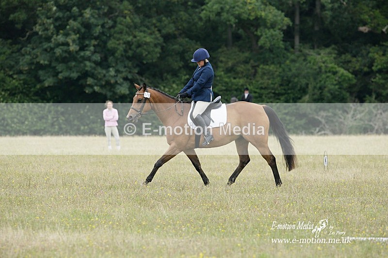BVRC 030721 99 - Bourne Valley Riding Club Dressage 03/07/21