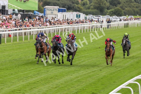 260724-Race 2-Churchella-3980 - Race 2 6.05pm Pearly Cow Handicap