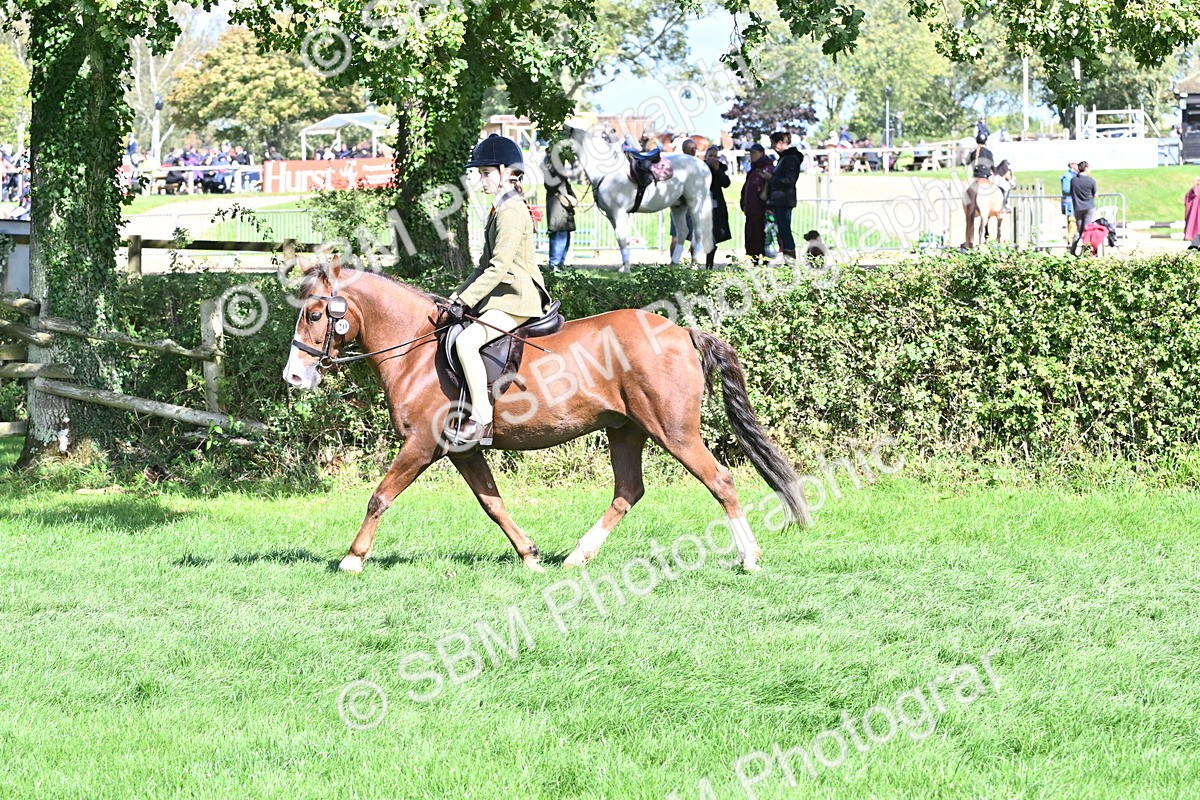 SBM_44549 - S13 - Pony Club Pony
