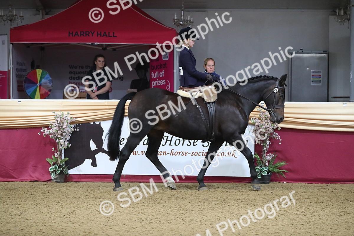 SBM_09260 - Class 101 Equitation (best rider), Junior