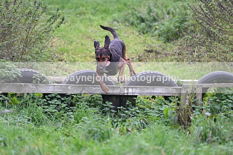 WJ7_8967 - Camera 1 only on this line