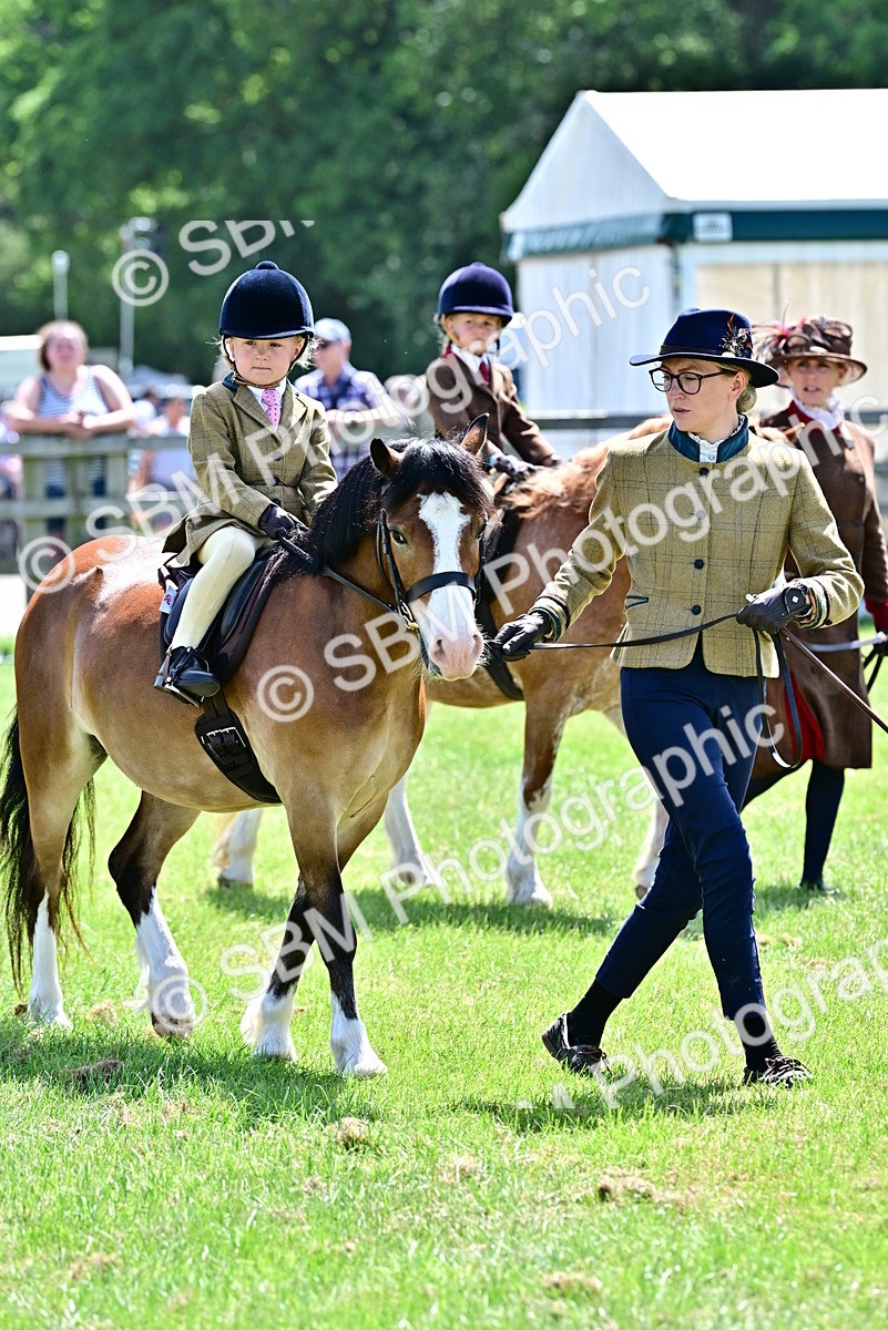 SBM_05792 - Class 59-60 - TSR M&M  Lear Rein and First Ridden Amateur of the year