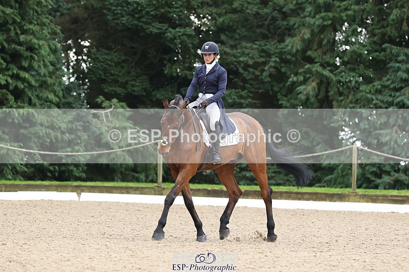 241024-114615-01910 - 053-Lois.Teal-Z7.CATASTROPHE