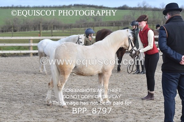 BPP_8797 - RING 2 - M&M