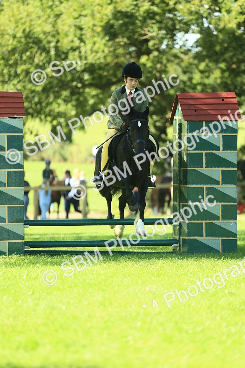 SBM_37405 - S29 - Novice & Newcomers Working Hunter Pony