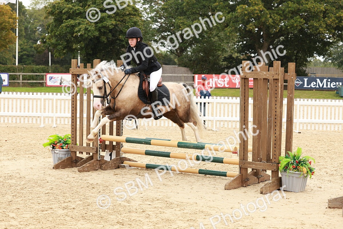 SBM_69262 - J13 - Junior Pony 60cm Championship