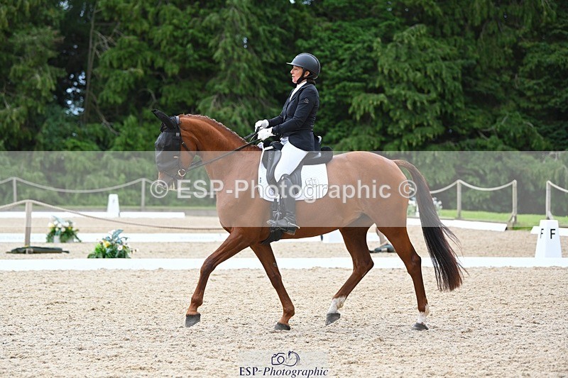 230813-142939-07770 - Cls 13 Medium Bronze 13.15 to End