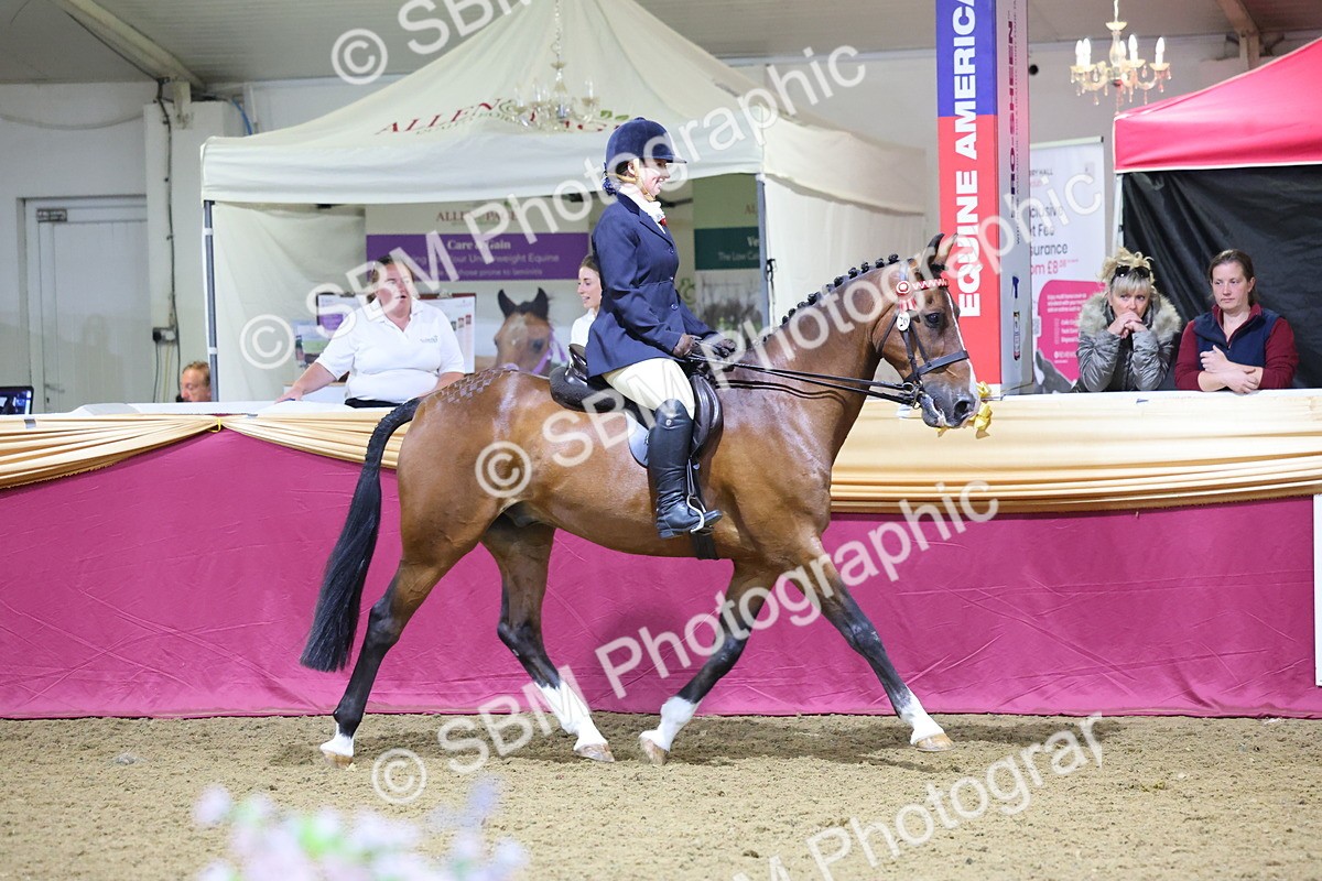 0B8A4527 - Class P Veteran Champ